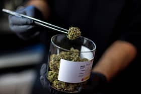 KJ on fact-finding visit to Thailand to assess potential medical use of cannabis