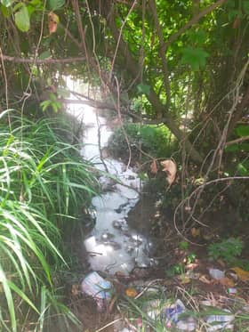 Factory ordered to stop effluent release after pollution detected in Sungai Langat