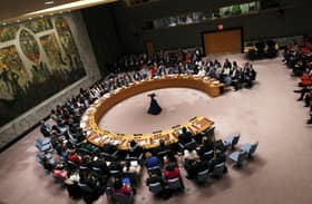 UNSC adopts US-drafted resolution establishing Gaza Board of Peace, Stabilisation Force