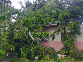 50 rumah rosak akibat ribut di Perlis