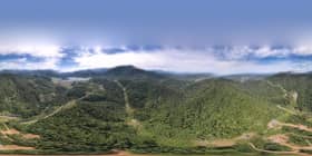 Govt looking into claims that country will lose 3.2 mln hectares of natural forests