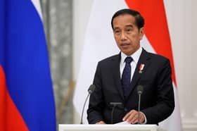 Xi, Putin to attend G20 summit in Indonesia, Jokowi says