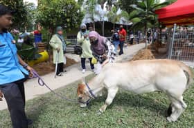 MAHA 2022: Over 100,000 visitors flock to Selangor Pavilion
