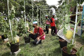 16 negara sertai MAHA 2024 - Mohamad