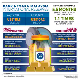 BNM's international reserves rise to US$110.9 bln as of Aug 15