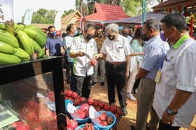 Sultan: Sediakan pelan jangka panjang jamin bekalan makanan di Selangor