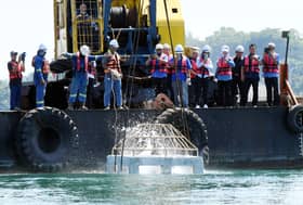 Guna cuka sebagai rawatan awal sengatan ubur-ubur