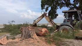 Jaga keselamatan pengunjung, MPKL tebang pokok reput di Pantai Morib