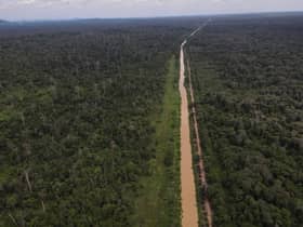 Jumlah luas hutan simpan negeri bertambah walau ada kuari