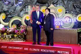 Indonesia seeks G20 buy-in for energy transition agenda