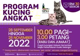 MPKS anjur program kucing angkat mulai 28 September