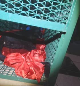 Bomba tangkap harimau kumbang di halaman rumah dekat Taman Pelangi Semenyih