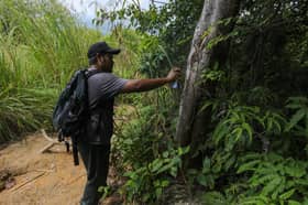 Bukit Lagong dikelas sebagai hutan pengeluaran sejak puluhan tahun