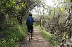 Selangor closes hiking activities at permanent forest reserves for three months from Nov 1