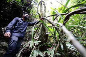 Selangor quarries must comply with Forestry Dept conditions to prevent eco-damage — Exco