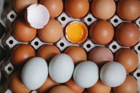 Smuggling to neighbouring country causes egg supply shortage