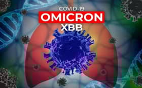 Covid-19: Indonesia rekod kes pertama jangkitan varian Omicron XBB