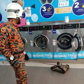 Pelanggan dobi terkejut ular sawa 20kg dalam mesin basuh