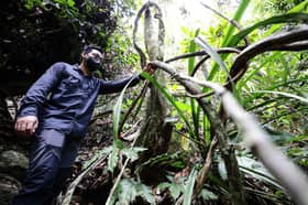 Keluasan hutan simpan makin bertambah banding 2008