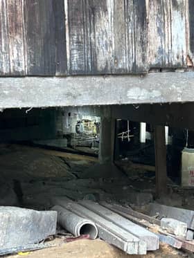 Terrifying experience for couple when tiger enters home