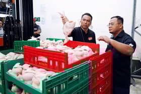 Dalam sibuk kempen, MB lawat pusat agihan 4 pagi atasi isu bekalan ayam