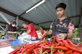 இளைஞர் உழவர் பயிற்சி தொழில்முனைவோர் மேம்பாட்டுக்கான இன்குபேட்டர்  திட்டம் டிசம்பர் 15, 2022 வரை