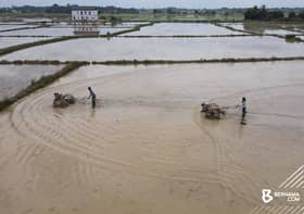 Kementerian salur RM13.23 juta bantu 6,747 pesawah terkesan banjir
