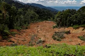 JMG kenal pasti 31 lokasi berisiko tanah runtuh seluruh negara