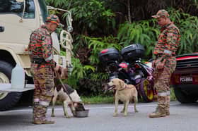 MoU paves way for APM to use sniffer dogs in SAR ops