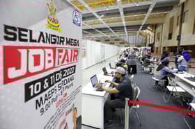 National  unemployment rate back to pre-pandemic level in November 2023