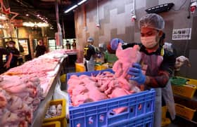 KPDN jamin bekalan ayam, telur mencukupi hingga menjelang Aidilfitri