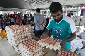 No more eggs, chicken price control to ensure sufficient supply