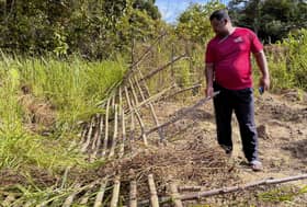 Wild elephant encroaches on three Gua Musang Orang Asli settlements