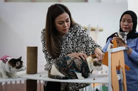 Tengku Permaisuri rasmi pameran, sokong usaha USM bela nasib kucing jalanan