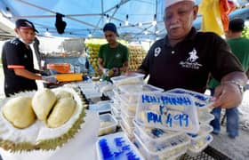 Durian tourism: Govt targets over RM2 mln in sales