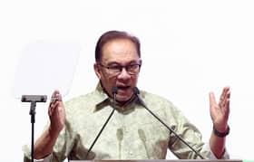 Dominasi Melayu dalam perkhidmatan awam bukan masalah - Anwar