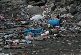 Single-use plastic production rose between 2019 and 2021 despite pledges