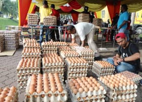PKPS diminta tambah jumlah telur di jualan murah ramai pembeli