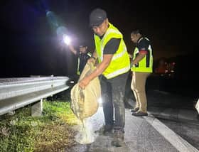 Luas successfully controls fuel, hydraulic fluid spilled due to accident on highway