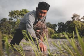 Padi farmers are still getting EM1,700 a tonne and RM500 subsidy — Minister