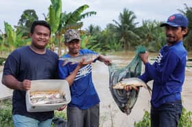 Penduduk jaring 20kg ikan dalam banjir, kongsi dengan jiran buat lauk