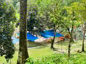 Campsite operators laud guidelines for camping activities — Exco