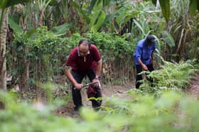 Penduduk luar bandar digalak usaha tanaman sara diri ketika kemarau