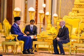 Cambodian King grants PM Anwar audience