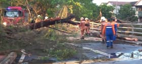Pantas MBSJ alihkan pokok tumbang di sembilan lokasi ekoran hujan lebat