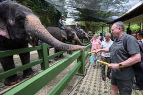 King spends time with military academy batchmates at elephant conservation centre