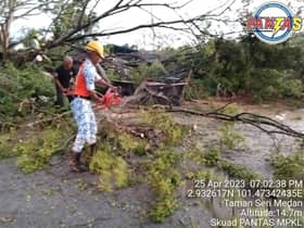 Skuad Pantas MPKL alih pokok tumbang di tiga lokasi susulan hujan lebat, angin kencang