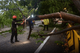 Enam individu nyaris maut kereta dihempap pokok tumbang