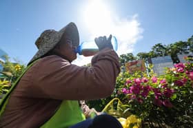 Health DG: Five cases of heat-related illness reported thus far