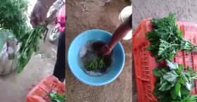 Video tular lelaki segarkan sayuran guna bahan kimia bukan berlaku dalam negara